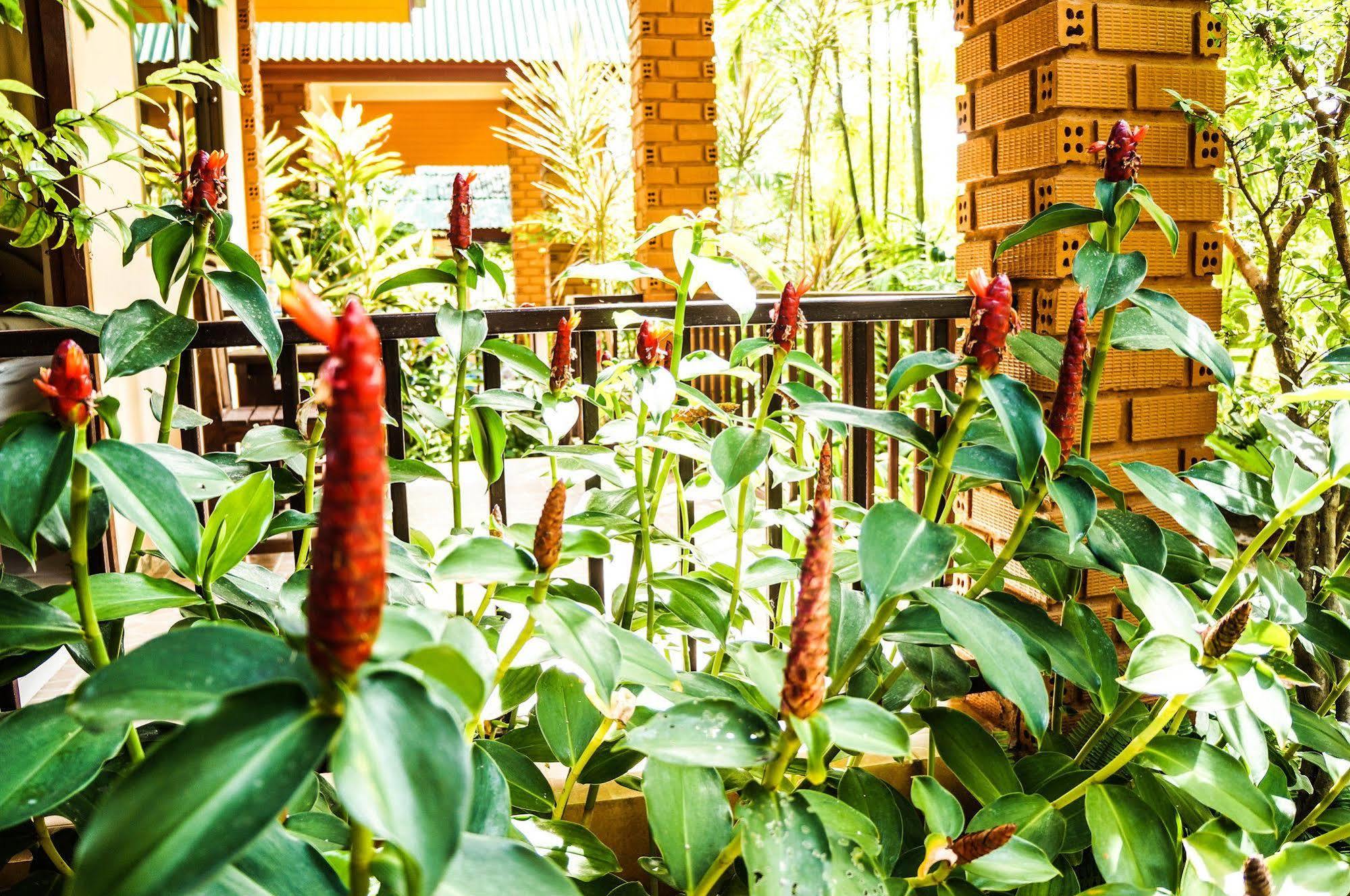 Tanamas House Hotell Thalang Eksteriør bilde